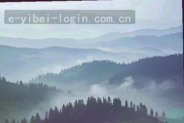 深蓝底上的荧光绿与橙色几何拼接，代表数据与活力